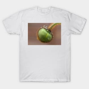Poppy bud T-Shirt